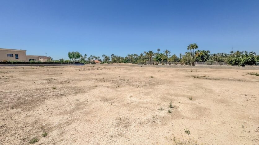 Foto 3 de la propiedad: Parcela urbana de 2.000m2 edificable en Alzabares Alto – Elche a la venta!!
