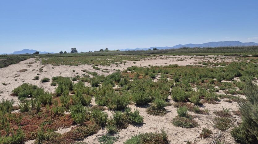 Foto 4 de la propiedad: Parcela Rústica De 35.000 m² Con Excelente Acceso Y Tierra De Cultivo