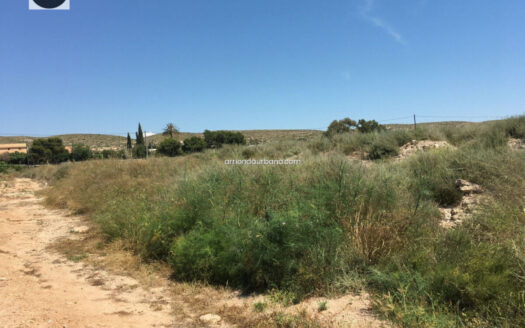 Terreno rústico Alquiler frente Aeropuerto ELCHE-ALICANTE