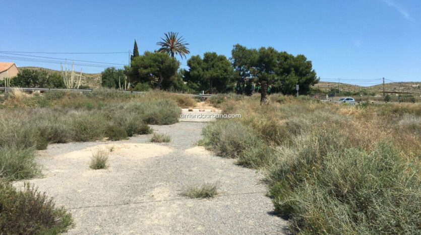 Foto 2 de la propiedad: Terreno rústico Alquiler frente Aeropuerto ELCHE-ALICANTE