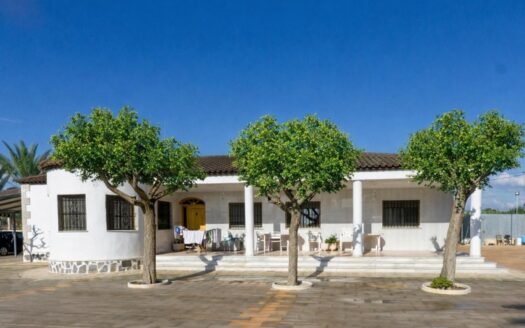 Chalet en parcela de 5900metros cuadrados, en la zona de Crevillente, en Elche.