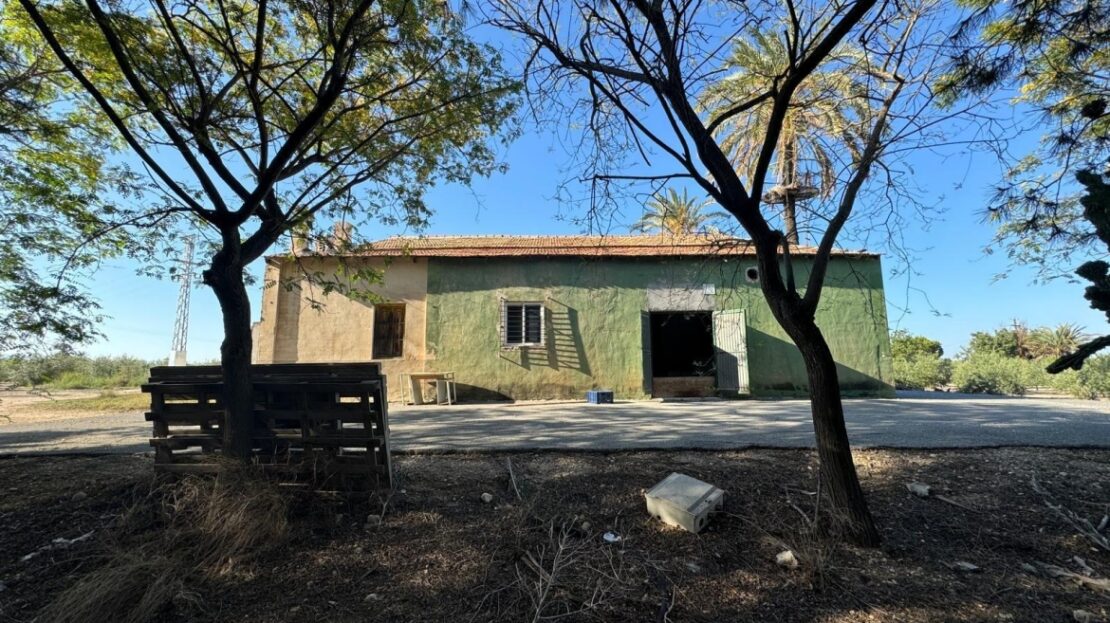 Foto 1 de la propiedad: *”Finca de 28.800 m² en Carretera de Dolores con 600 olivos, 700 pinos y riego por goteo – Ideal par
