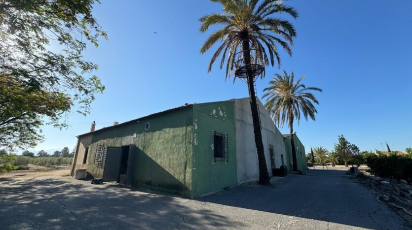 Foto 2 de la propiedad: *”Finca de 28.800 m² en Carretera de Dolores con 600 olivos, 700 pinos y riego por goteo – Ideal par