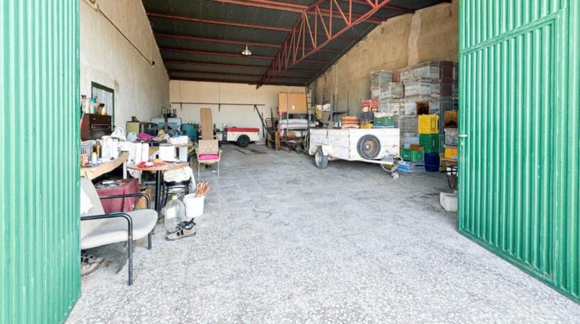 Ver todas las 51 fotos de la propiedad: *”Finca de 28.800 m² en Carretera de Dolores con 600 olivos, 700 pinos y riego por goteo – Ideal par