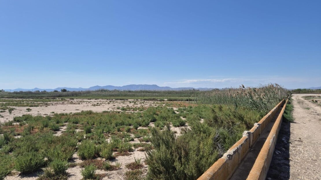 Foto 1 de la propiedad: Parcela Rústica De 35.000 m² Con Excelente Acceso Y Tierra De Cultivo