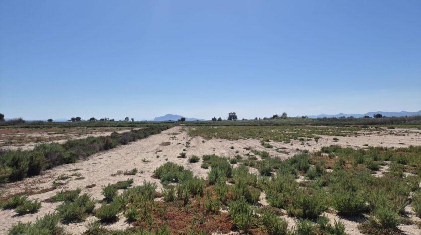 Foto 2 de la propiedad: Parcela Rústica De 35.000 m² Con Excelente Acceso Y Tierra De Cultivo