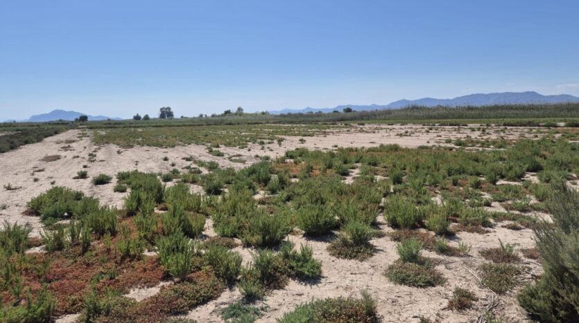 Foto 4 de la propiedad: Parcela Rústica De 35.000 m² Con Excelente Acceso Y Tierra De Cultivo