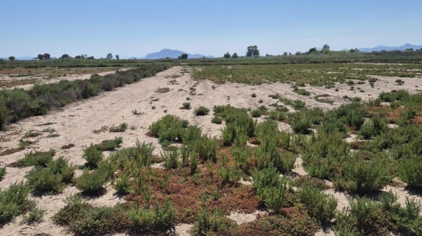 Ver todas las 17 fotos de la propiedad: Parcela Rústica De 35.000 m² Con Excelente Acceso Y Tierra De Cultivo