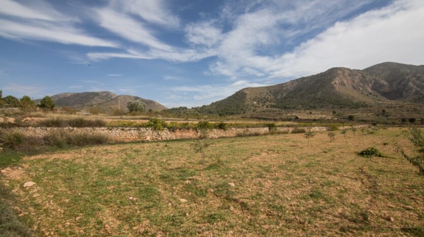 Foto 3 de la propiedad: TERRENO DE CULTIVO DE VIÑAS EN VENTA EN ALGUEÑA
