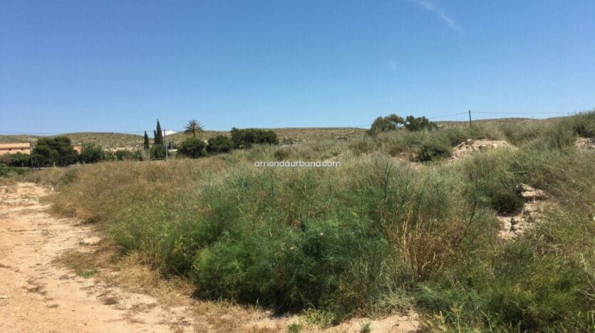 Foto de la propiedad: Terreno rústico Alquiler frente Aeropuerto ELCHE-ALICANTE