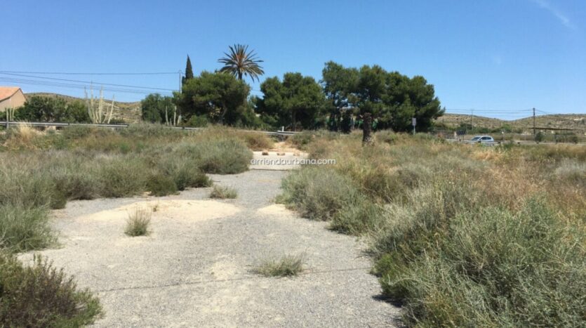 Foto 2 de la propiedad: Terreno rústico Alquiler frente Aeropuerto ELCHE-ALICANTE