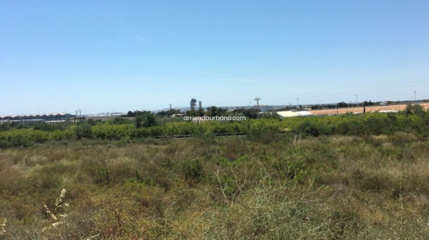 Foto 3 de la propiedad: Terreno rústico Alquiler frente Aeropuerto ELCHE-ALICANTE