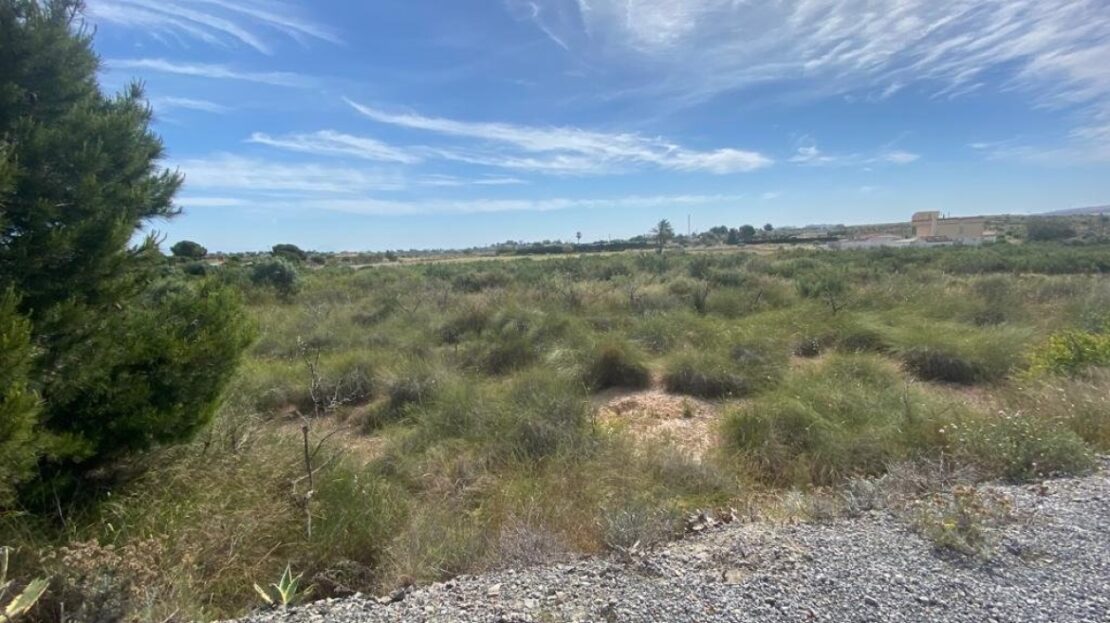 Foto 1 de la propiedad: VOLVER AL CAMPO…..UN TERRENO EN UNA ZONA TRANQUILA
