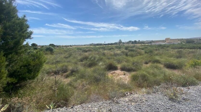VOLVER AL CAMPO…..UN TERRENO EN UNA ZONA TRANQUILA