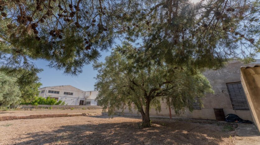 Foto 3 de la propiedad: Excelente casa de campo para reformar en una ubicación privilegiada y segura junto a 500 metros del casco urbano de Elche