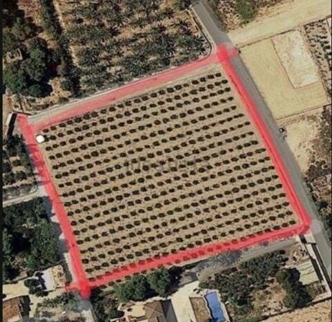 Foto 2 de la propiedad: Parcela in Elche pedanias