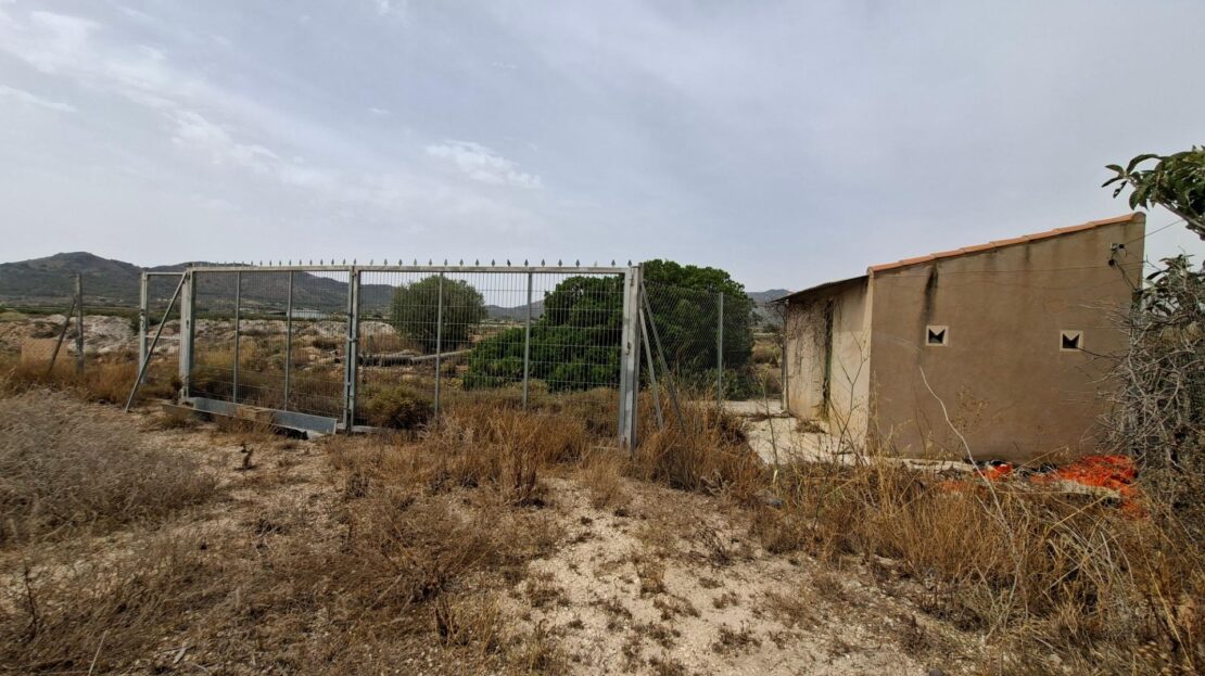 Foto 1 de la propiedad: ¡¡ VENTA PARCELA EDIFICABLE 11371 m2 EN LA ROMANA !!