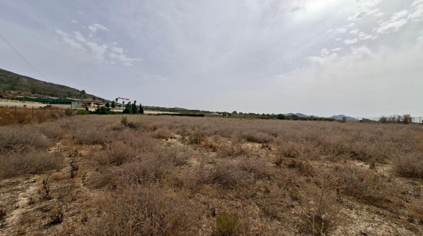 Foto 3 de la propiedad: ¡¡ VENTA PARCELA EDIFICABLE 11371 m2 EN LA ROMANA !!