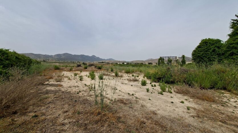 Ver todas las 5 fotos de la propiedad: ¡¡ VENTA PARCELA EDIFICABLE 11371 m2 EN LA ROMANA !!