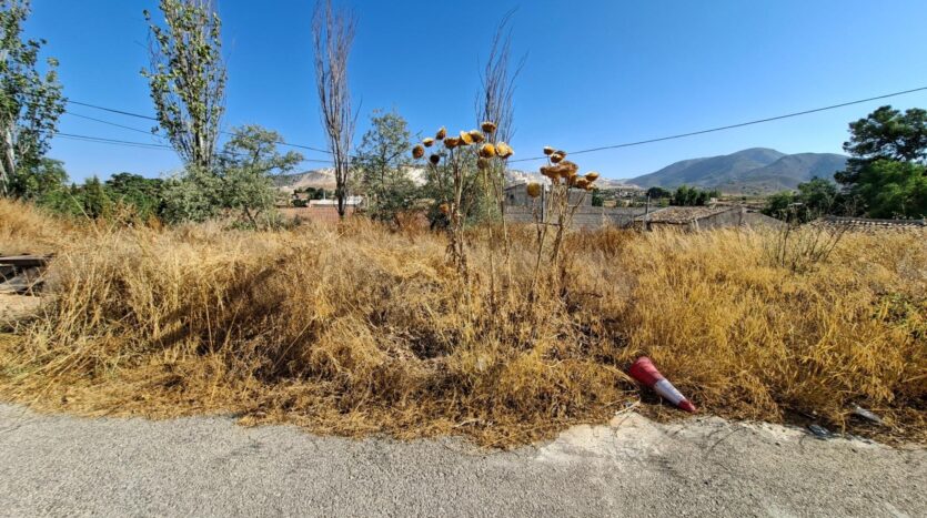 Ver todas las 8 fotos de la propiedad: ¡ CASA CON TERRENO EN ALGUEÑA !